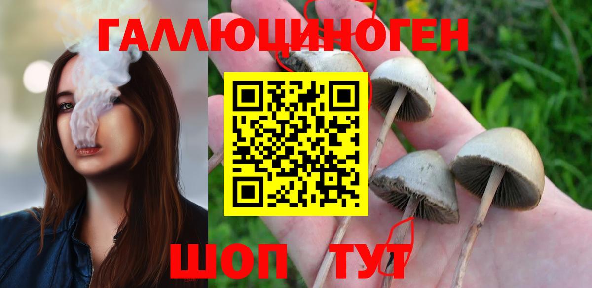 Галлюциногенные грибы MAGIC MUSHROOMS Минусинск