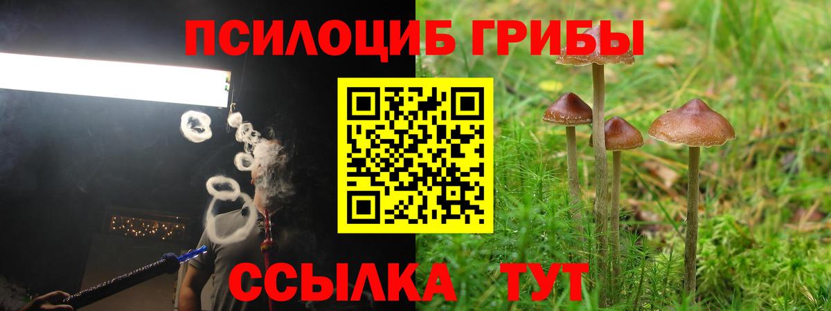 Минусинск  Галлюциногенные грибы мицелий  Вход с VPN 